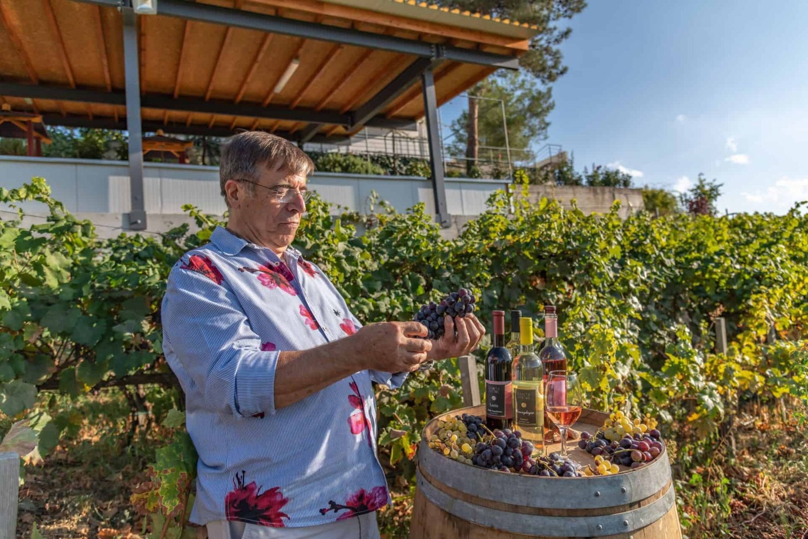 Santa Irene Winery wine tasting experience at Ierambelos Cyprus