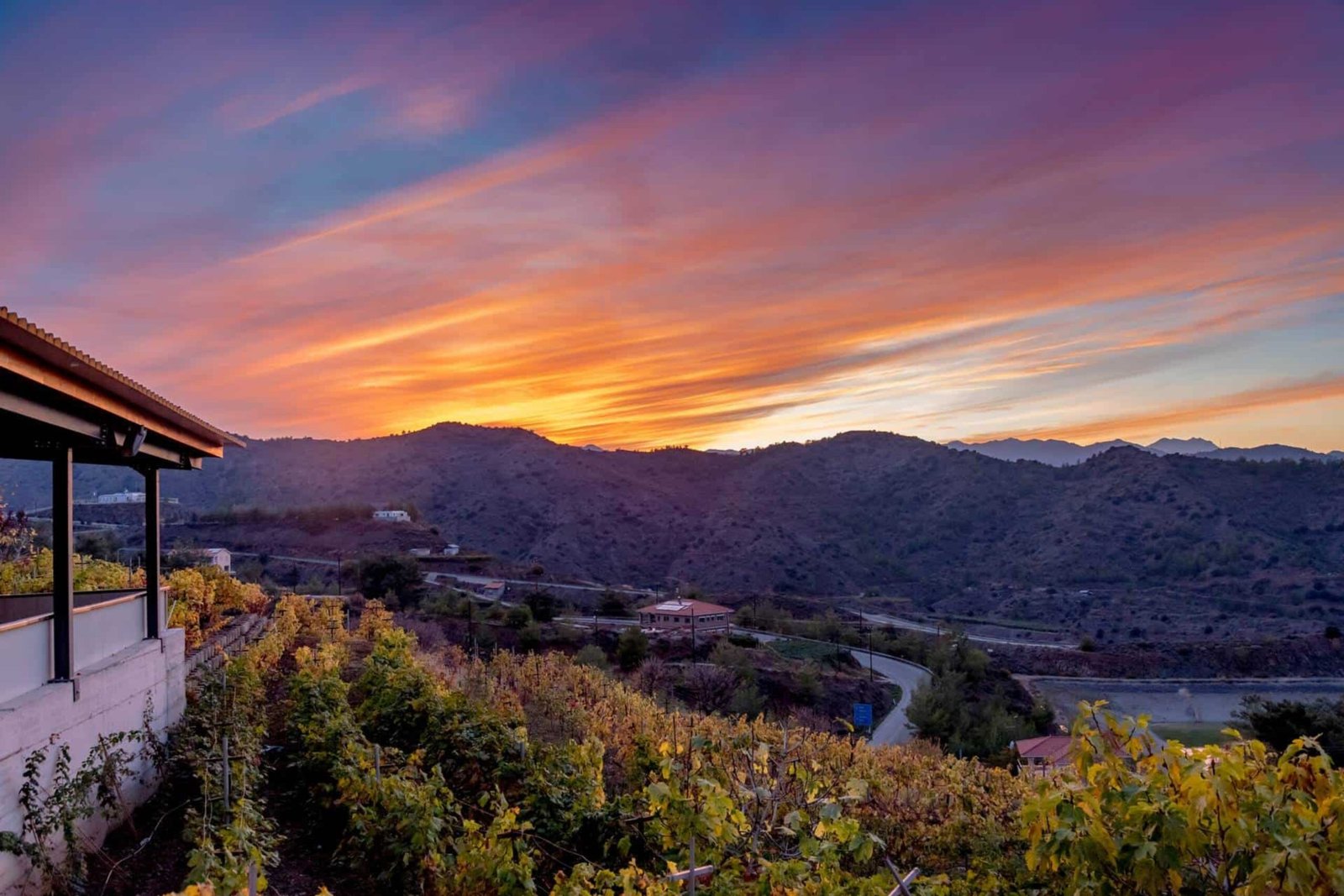 Farmakas Living agrotourism accommodation at Ierambelos Cyprus