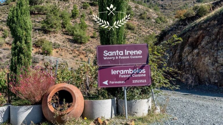 Ierambelos Cyprus A Complete Destination Experience